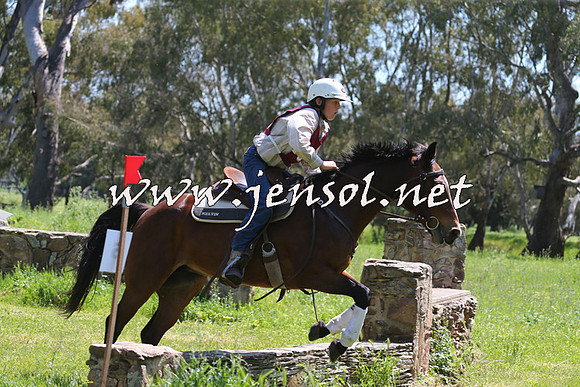 BattleoftheBidgee_0611