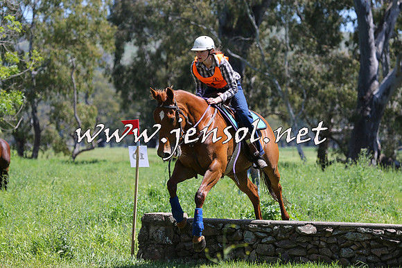 BattleoftheBidgee_0382