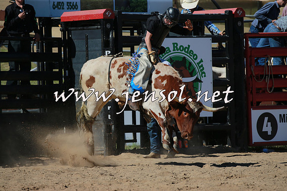 CoomaRodeo2016_1522