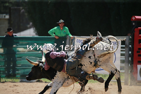 CoomaRodeo2016_0381