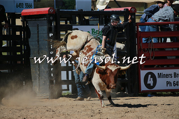 CoomaRodeo2016_1533