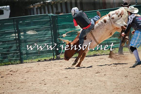 CoomaRodeo2016_0339