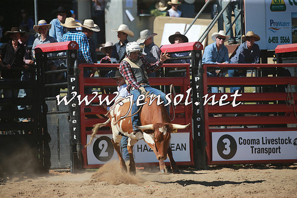 CoomaRodeo2016_1750