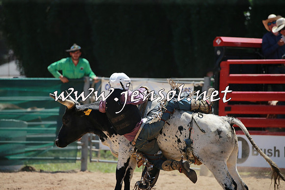 CoomaRodeo2016_0376