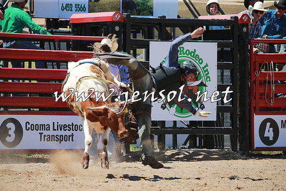 CoomaRodeo2016_0606