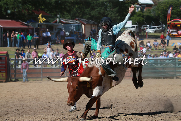 CoomaRodeo2016_1738