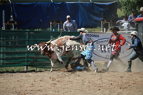 CoomaRodeo2016_1619
