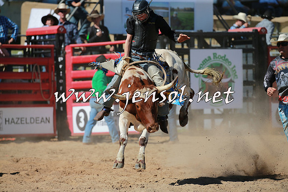 CoomaRodeo2016_1542