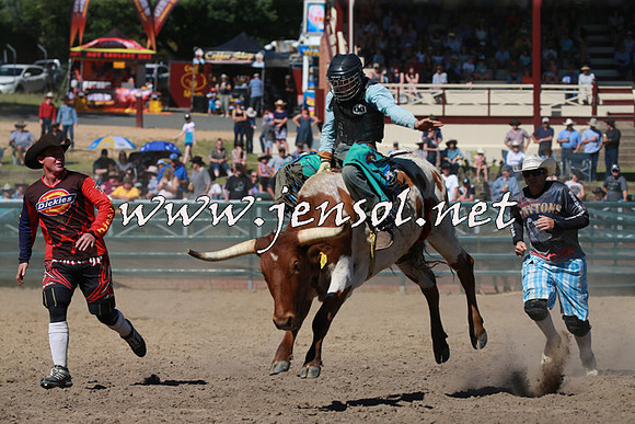 CoomaRodeo2016_1740