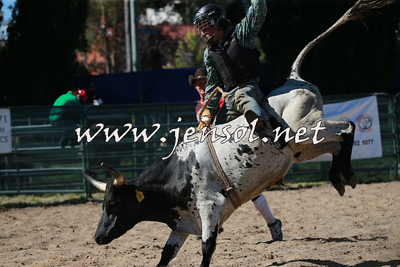 CoomaRodeo2016_1646