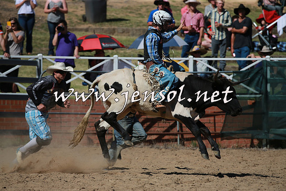 CoomaRodeo2016_1663