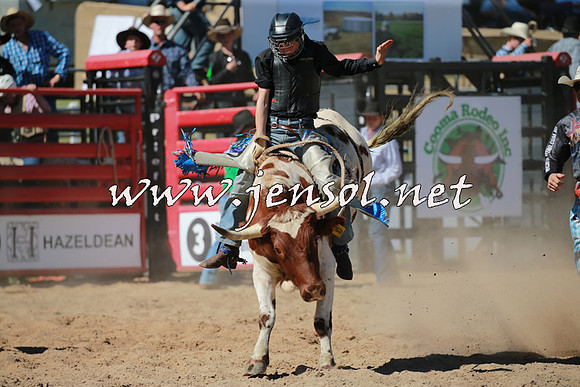 CoomaRodeo2016_1543