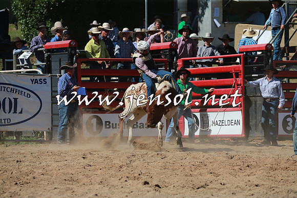 CoomaRodeo2016_1583