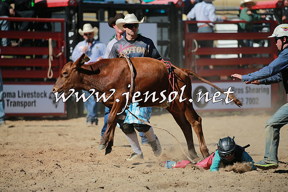 CoomaRodeo2016_1872
