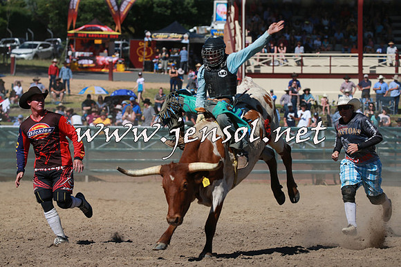 CoomaRodeo2016_1742