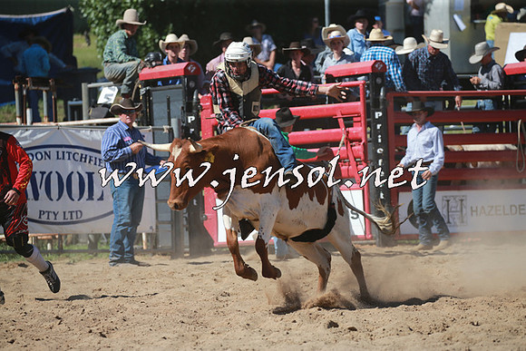 CoomaRodeo2016_1779