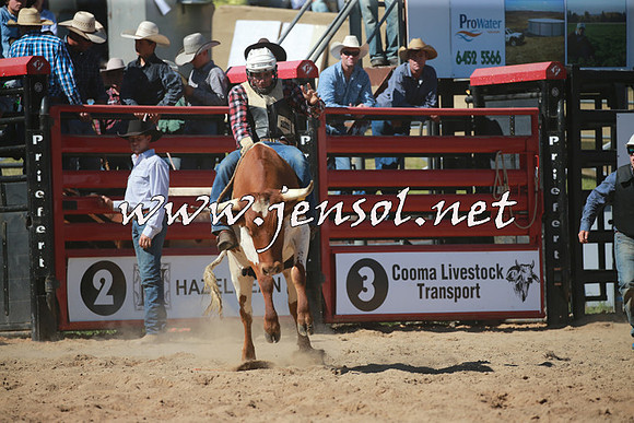 CoomaRodeo2016_1764