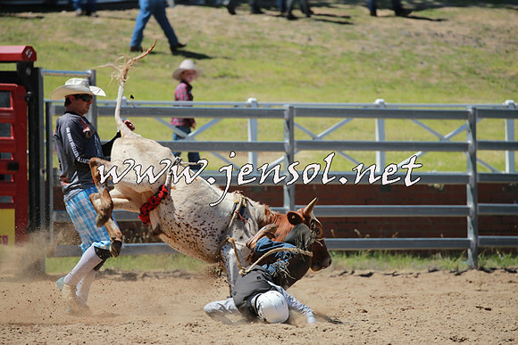 CoomaRodeo2016_0600