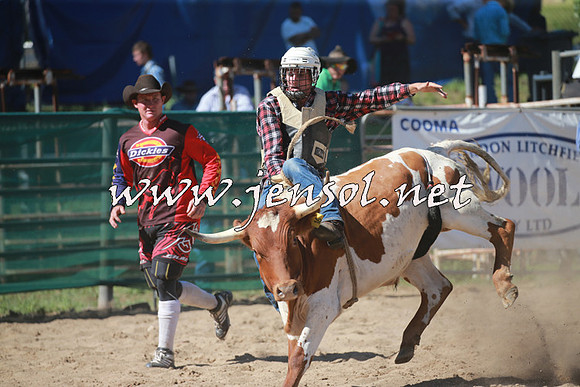 CoomaRodeo2016_1778