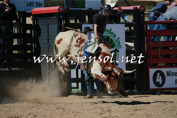CoomaRodeo2016_1534