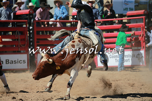 CoomaRodeo2016_1565
