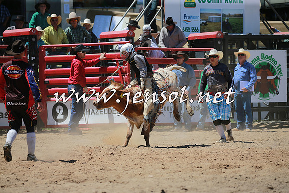 CoomaRodeo2016_0566