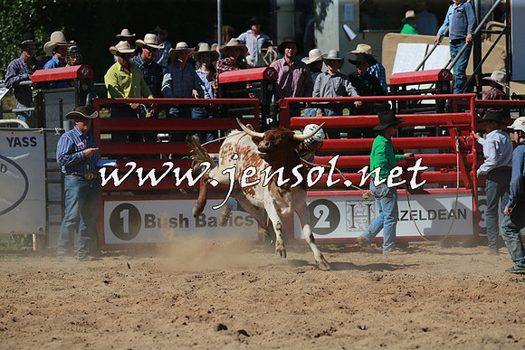 CoomaRodeo2016_1591