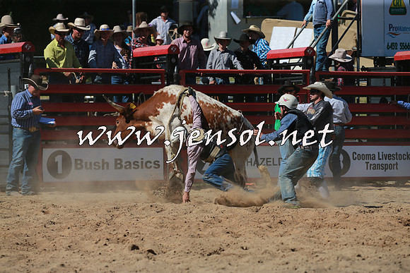 CoomaRodeo2016_1602