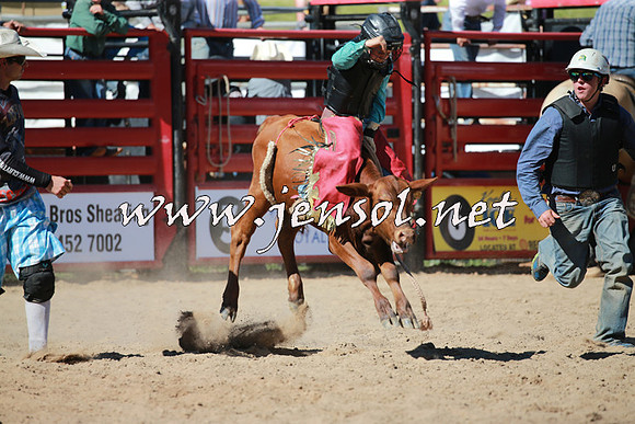 CoomaRodeo2016_1861