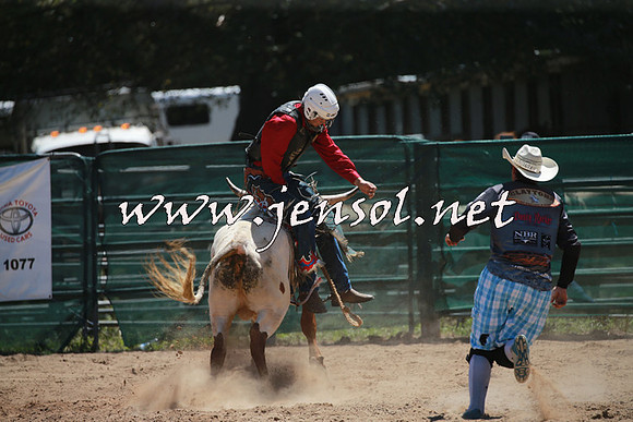 CoomaRodeo2016_0456