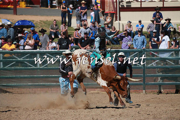 CoomaRodeo2016_1718