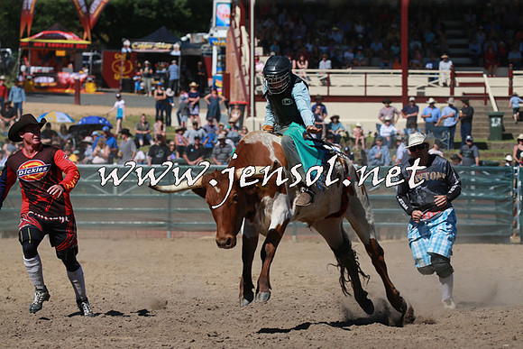CoomaRodeo2016_1739