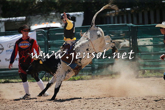 CoomaRodeo2016_0499
