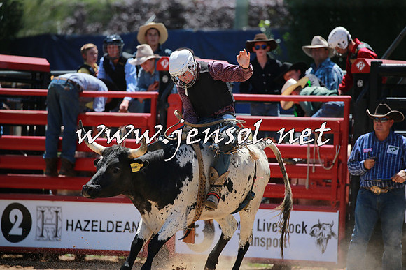 CoomaRodeo2016_0371