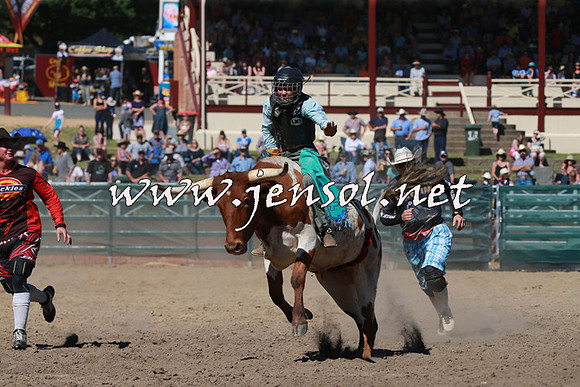 CoomaRodeo2016_1725