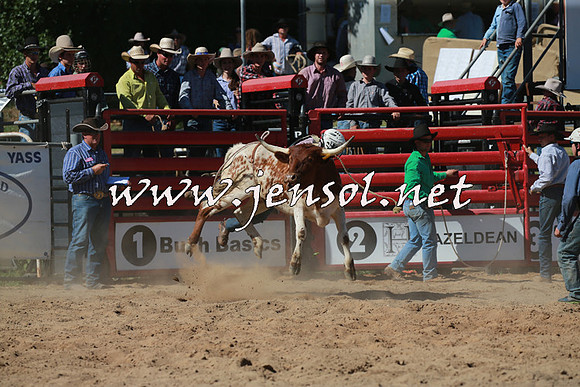 CoomaRodeo2016_1594
