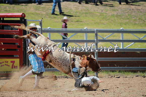CoomaRodeo2016_0591
