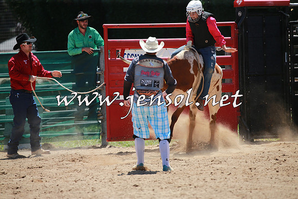 CoomaRodeo2016_0334