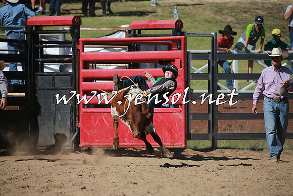 CoomaRodeo2016_1876