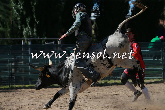 CoomaRodeo2016_1642