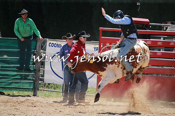 CoomaRodeo2016_0431