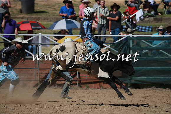 CoomaRodeo2016_1664