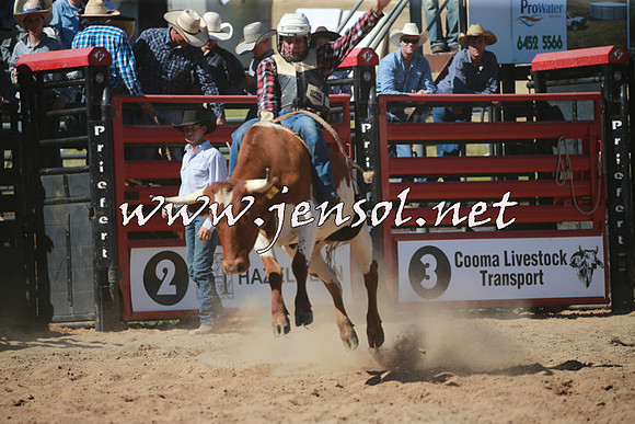 CoomaRodeo2016_1755