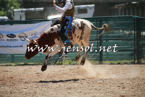 CoomaRodeo2016_0405