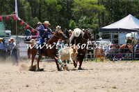 PictonRodeo2015_0667