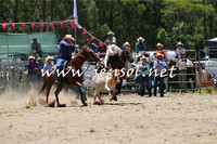 PictonRodeo2015_0661