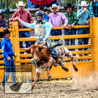 QueanbeyanRodeo_1204