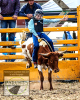 QueanbeyanRodeo_1161