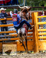 QueanbeyanRodeo_1959