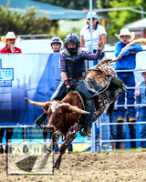 QueanbeyanRodeo_1158